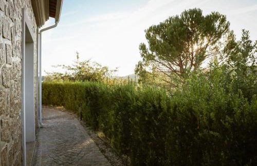 I Love Dão - Casas Da Fraga - Foto 46