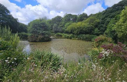 Roseland Valley Retreat - Photo 22