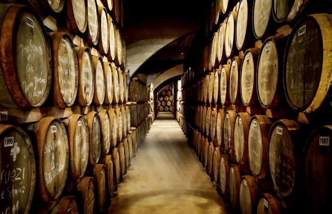 Tour del pisco por el Valle del Elqui - Foto 3