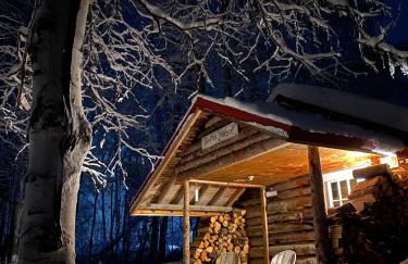 Talkeetna Gardens, Cabins & Cottages - Foto 3