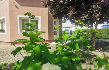 Apartmani Jastreb - Foto 17