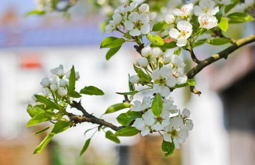 An der Hainmühle - Foto 20