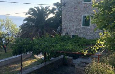 Kameni cvijet - Foto 3