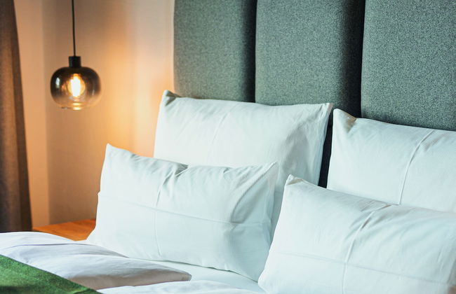 Puitalm - Natur I Apart I Hotel - Foto 80