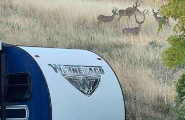 Charming WinnieTrailer with Cozy Private Patio Escape - Photo 22