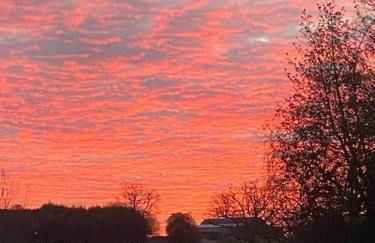 Cosy, private, cabin suit couples looking for a retreat and business traveller, near Frieth - Foto 34