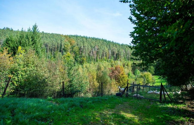 Peaceful Garden Home, Chevron - Foto 34