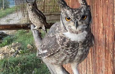 Agriturismo Villa Paradiso Esotico - Photo 45