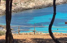 GIARDINO FIORITO 2 WI-FI BICI Free - Foto 22