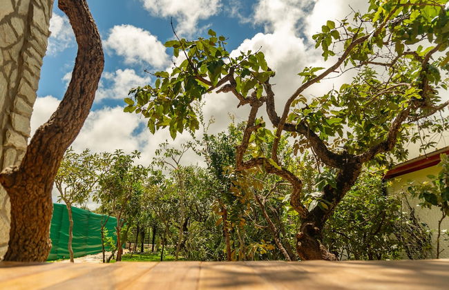 Lofts Lobo Guara - Foto 24