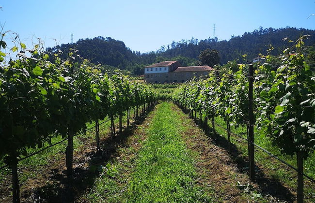 Quinta de Cypriano - Wine & Nature - Foto 51