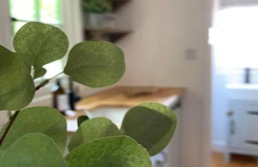 Cornwall Woodland Shepherd's Hut with Hot Tub - Deirdres Hut - Foto 18