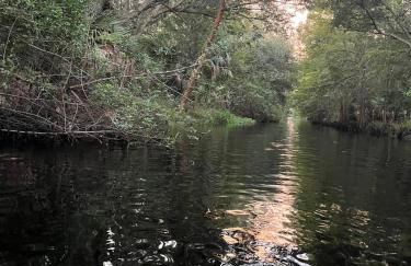 Home Away from Home - Foto 49