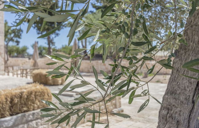 Masseria Fanizzi - Photo 47