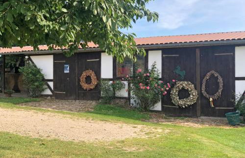 Ostseebauernhof Familie Jäger - Foto 8