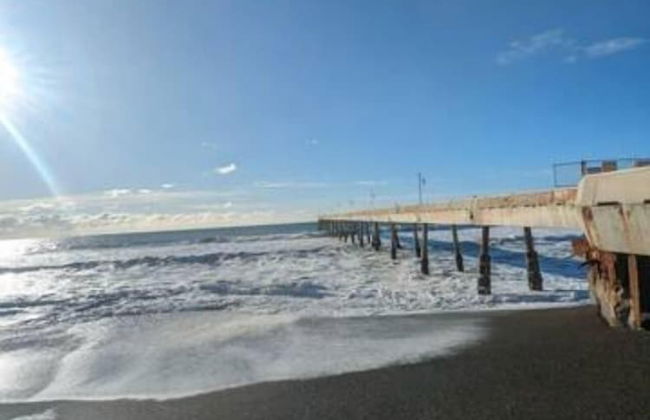 Coastal Palm Tree 2BR Retreat Ocean View - Foto 34