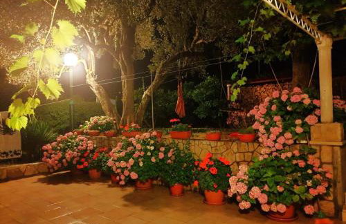 Apartment Ana Broce - Photo 36