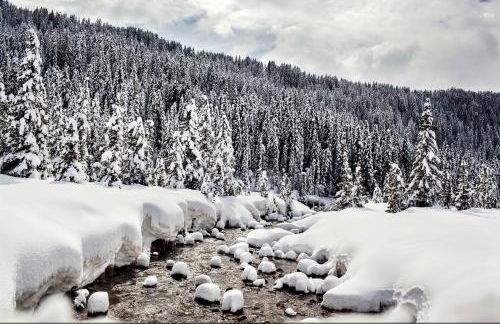 CASA IBEX - Residence Veronza con piscina, Dolomiti Affitti - Foto 14