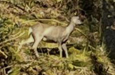 West Cumbria static caravan - Foto 22