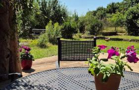 Ökologisches Hideaway mit Sauna und großem Garten - Foto 24