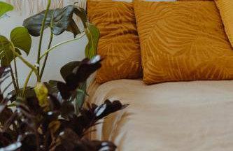 Dom Fotografa w Modrzewiach - Foto 29