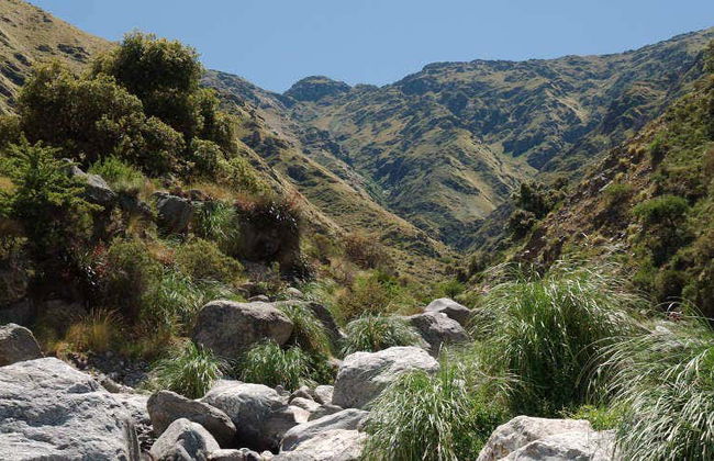 Excursión a las Sierras de Comechingones - Foto 5