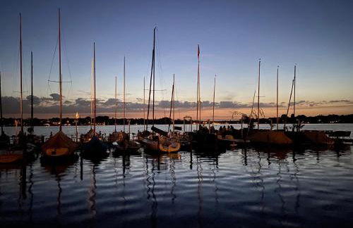 Platz, Natur, Lüneburg - Villa Heidberg - Foto 46