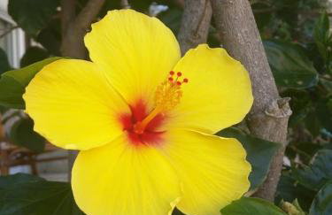 Lerna Rooms - Photo 43