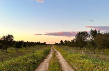 Casa no Montinho - Foto 9