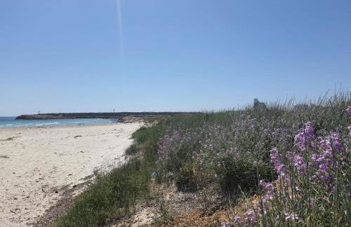 Casa vacanze Pescoluse - Foto 33