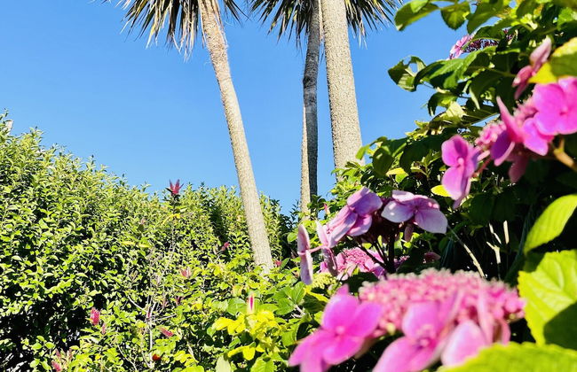 Wavecrest Holiday Cottage - Photo 20