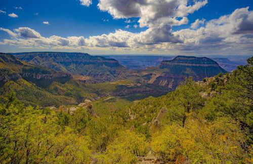 Treetop #7 at East Zion Resort - Foto 21