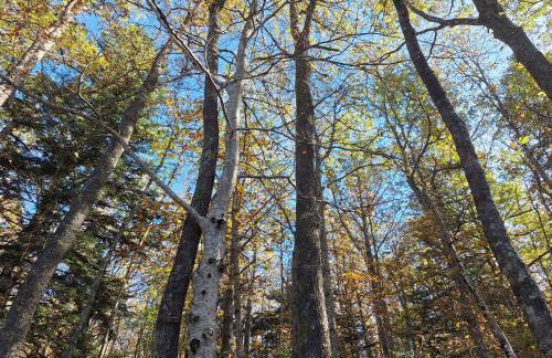 Rondini apartment - Foto 22