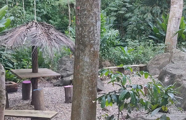 Vila Paraíso - Blumenau - SC - Photo 62