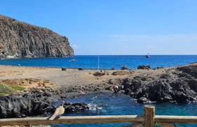 Apartman Los Cristianos-Cristimar - Foto 39