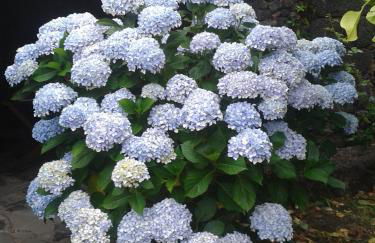 Casa Rural Aborigen Bimbache - Foto 41