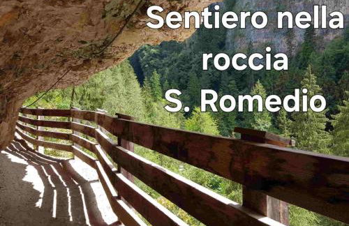 Agritur Gioia - Photo 15