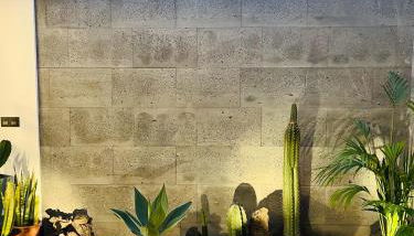 Garden House, Playa Honda - Foto 3