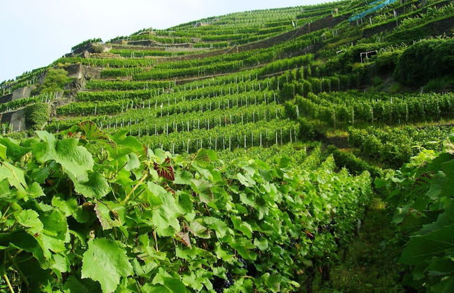 Beautiful Apartment in Morscheid-riedenburg - Photo 13