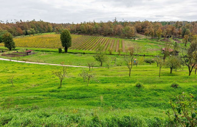 Cozy Tuscan Getaway - Foto 43