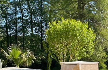 Five and You - Foto 49