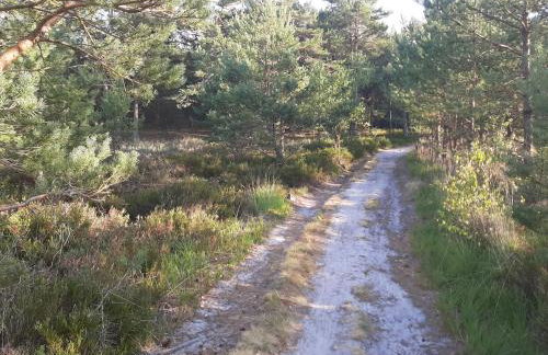 Apartament Pod Orzechem - Foto 28