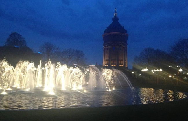 1 bedroom apartment in prime location - Photo 30