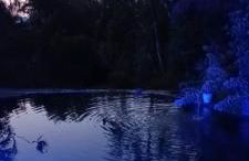 Sítio em ANGRA DOS REIS - Photo 9