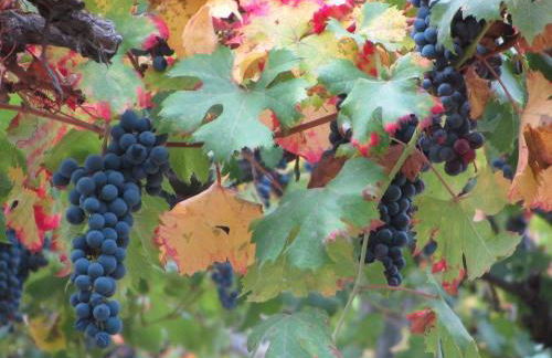 Costa Catterina B&B - Foto 39