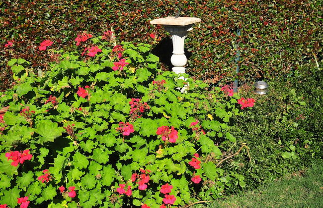 Bradclin House - Foto 54