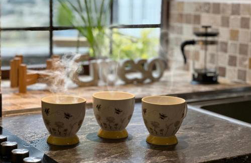 Trawsfynydd Stone Cottage - Foto 16