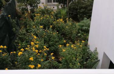 Casa da Queijaria - Foto 28