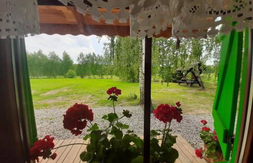 GREEN HOUSE - Foto 45