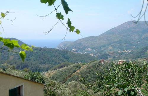 Cottage Lavanda - Foto 10